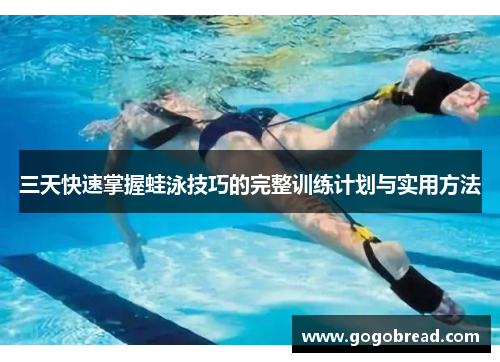 三天快速掌握蛙泳技巧的完整训练计划与实用方法