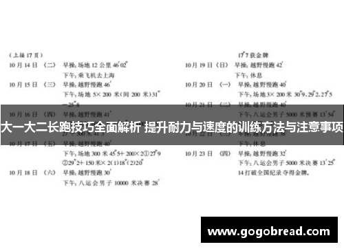 大一大二长跑技巧全面解析 提升耐力与速度的训练方法与注意事项