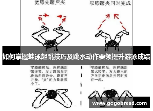 如何掌握蛙泳起跳技巧及跳水动作要领提升游泳成绩