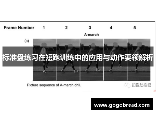 标准盘练习在短跑训练中的应用与动作要领解析