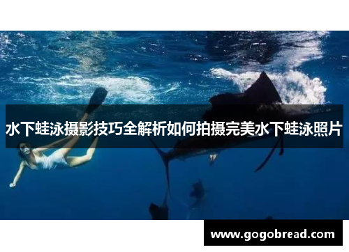 水下蛙泳摄影技巧全解析如何拍摄完美水下蛙泳照片