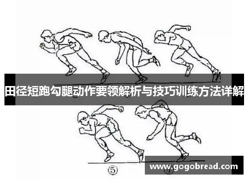 田径短跑勾腿动作要领解析与技巧训练方法详解