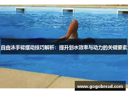 自由泳手臂摆动技巧解析：提升划水效率与动力的关键要素