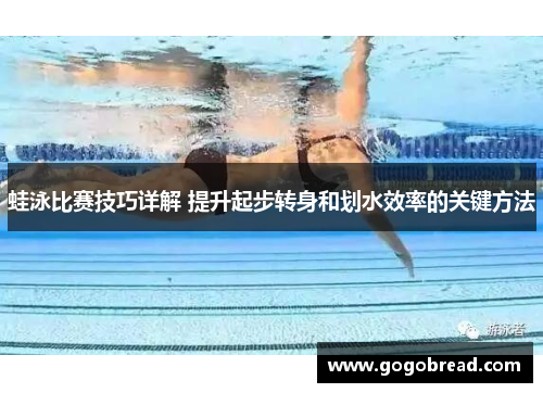 蛙泳比赛技巧详解 提升起步转身和划水效率的关键方法