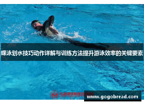 蝶泳划水技巧动作详解与训练方法提升游泳效率的关键要素