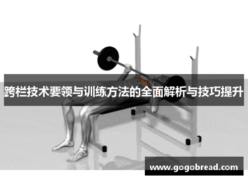 跨栏技术要领与训练方法的全面解析与技巧提升