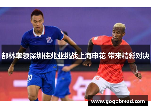 郜林率领深圳佳兆业挑战上海申花 带来精彩对决