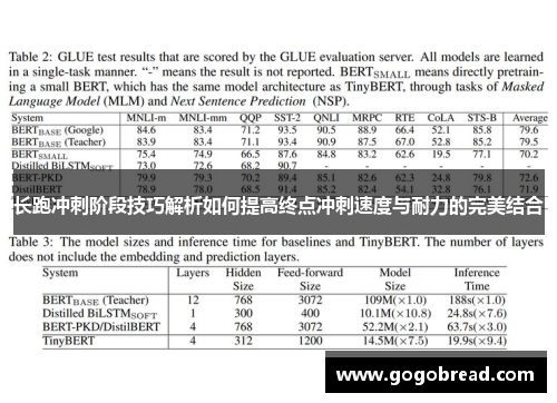 长跑冲刺阶段技巧解析如何提高终点冲刺速度与耐力的完美结合
