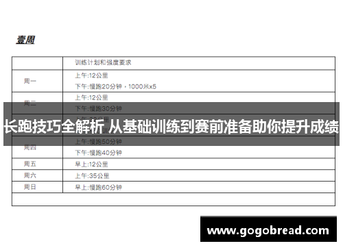长跑技巧全解析 从基础训练到赛前准备助你提升成绩