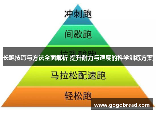 长跑技巧与方法全面解析 提升耐力与速度的科学训练方案